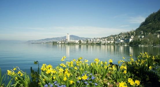 Montreux 2 IntroTxt 553x300